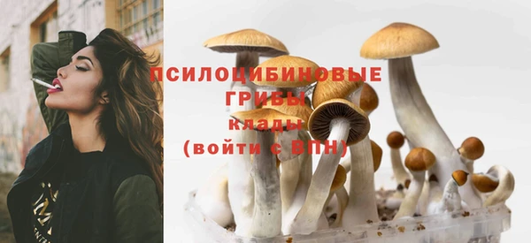 ешки Пересвет