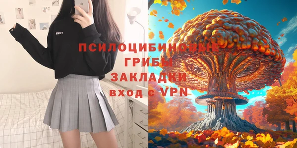 ешки Пересвет
