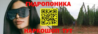 прущие грибы Гусь-Хрустальный