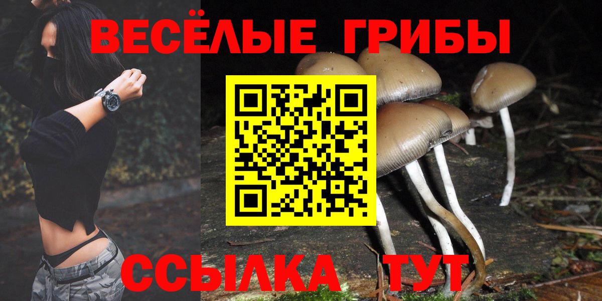 Галлюциногенные грибы прущие грибы Волоколамск