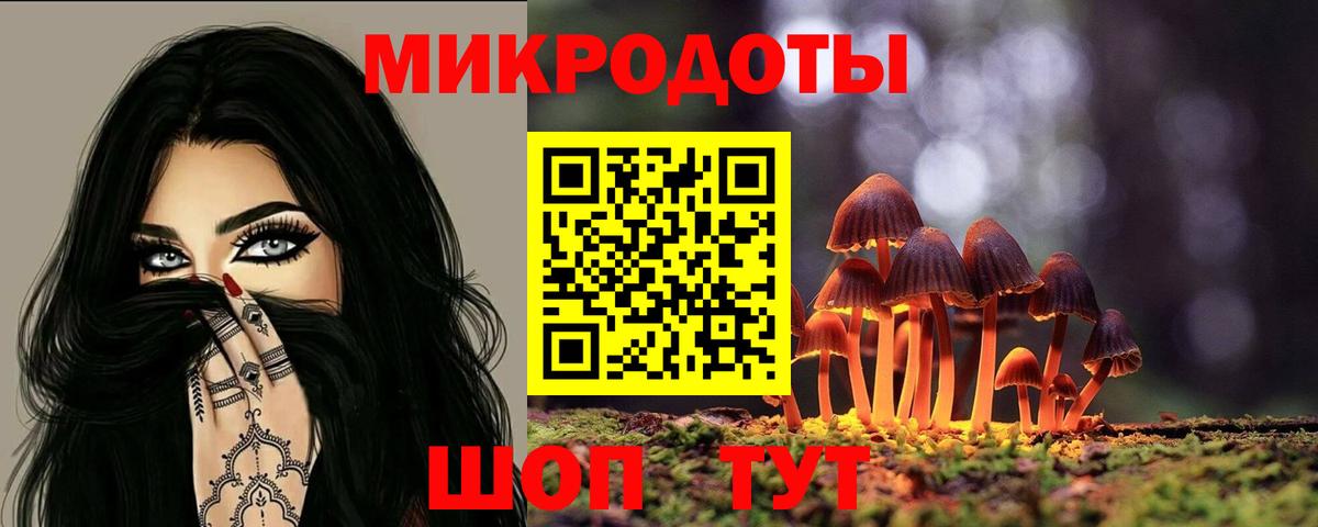 Псилоцибиновые грибы прущие грибы Волоколамск