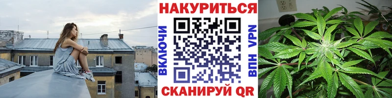 Бошки марихуана SATIVA & INDICA  Волоколамск 